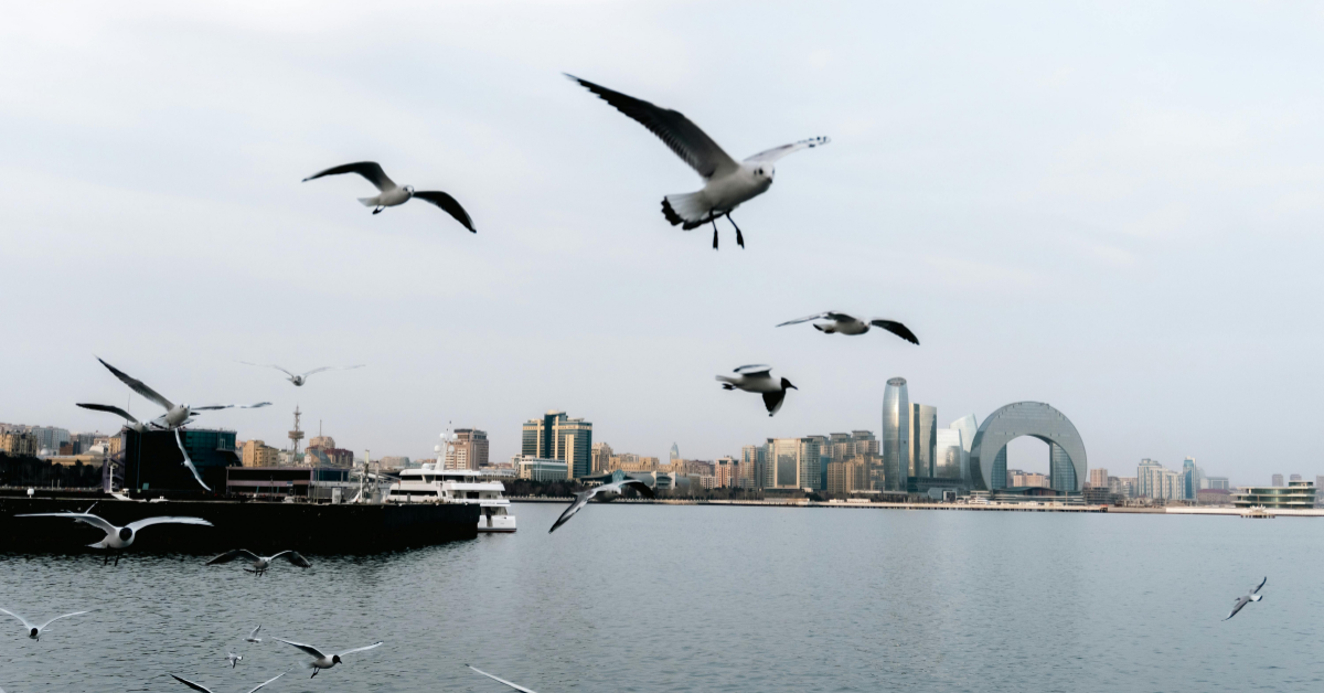 Baku tour packages from Dubai price comparison